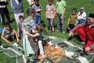 Изображение - 1 