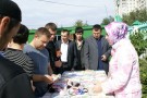 Сурәт - 53 
