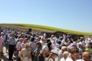 Сурәт - 2 