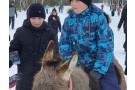Сурәт - 4 