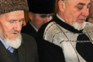Сурәт - 8 
