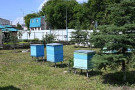 Сурәт - 1 