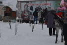 Сурәт - 5 