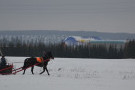 Сурәт - 41 