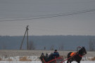 Сурәт - 43 