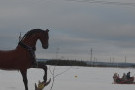 Сурәт - 71 
