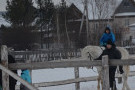 Сурәт - 77 