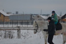 Сурәт - 78 