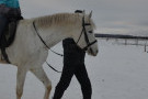 Сурәт - 83 