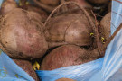 Сурәт - 2 