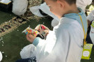 Сурәт - 3 