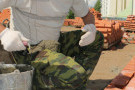Сурәт - 4