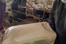 Сурәт - 3